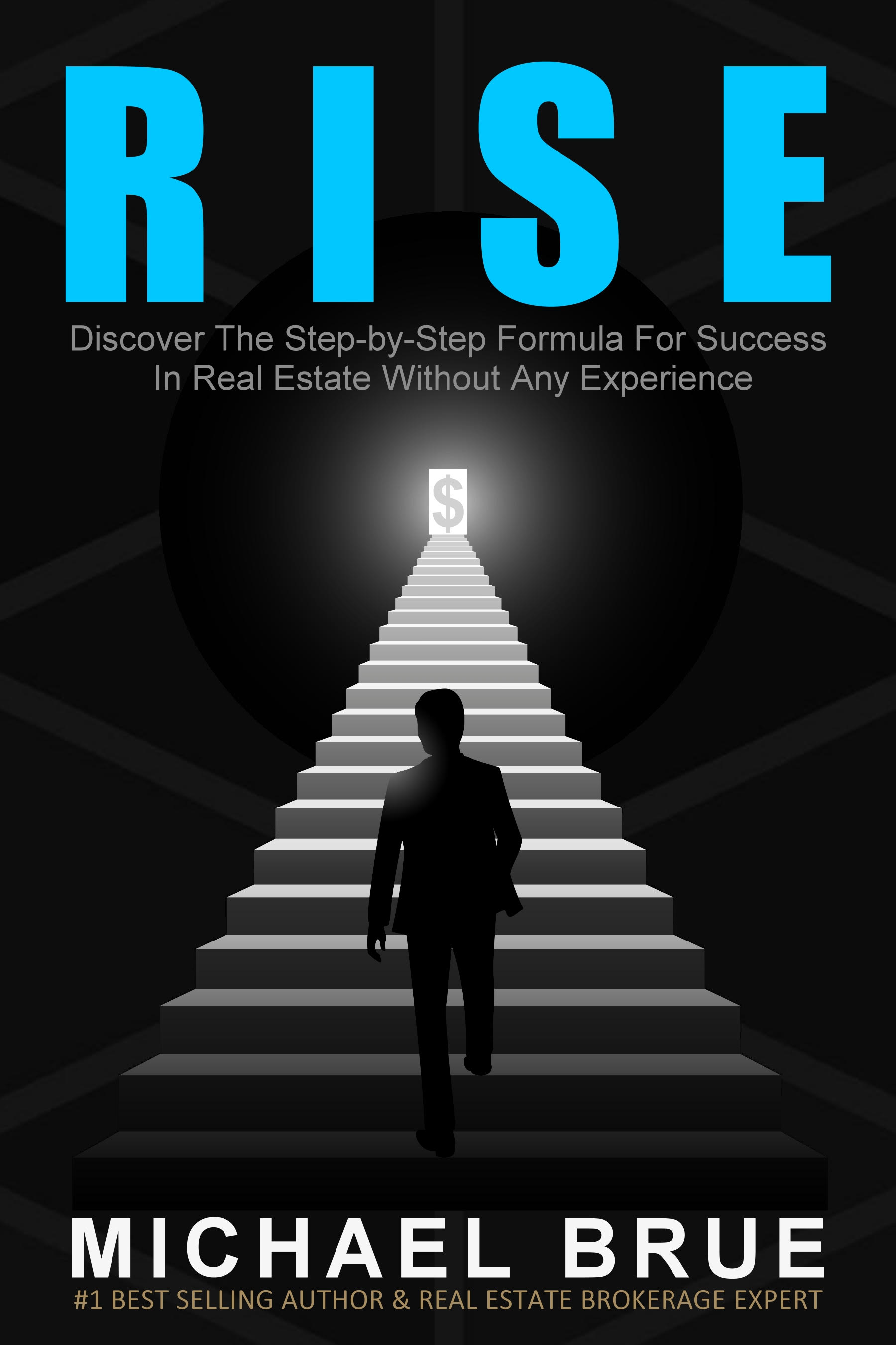 RISE book cover by Michael Brue